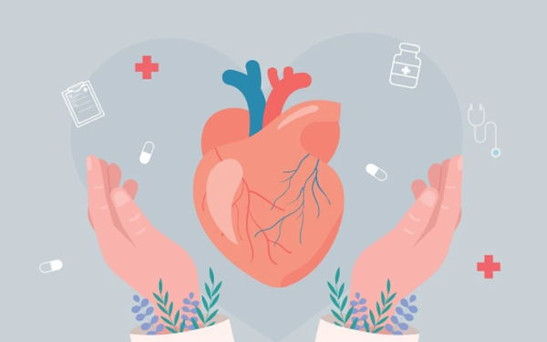 CAS 520-26-3 | Hesperidin CAS 520-26-3 | Hesperidin